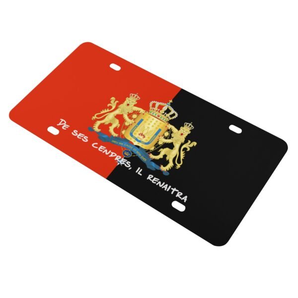 License Plate - Image 2