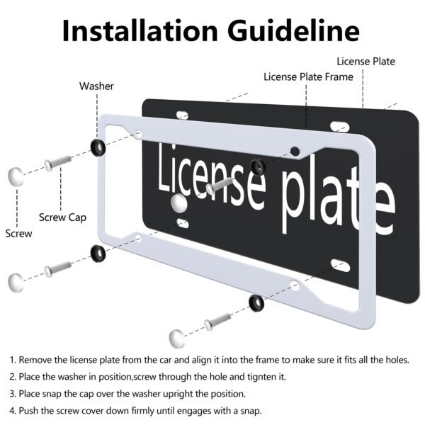License Plate - Image 6