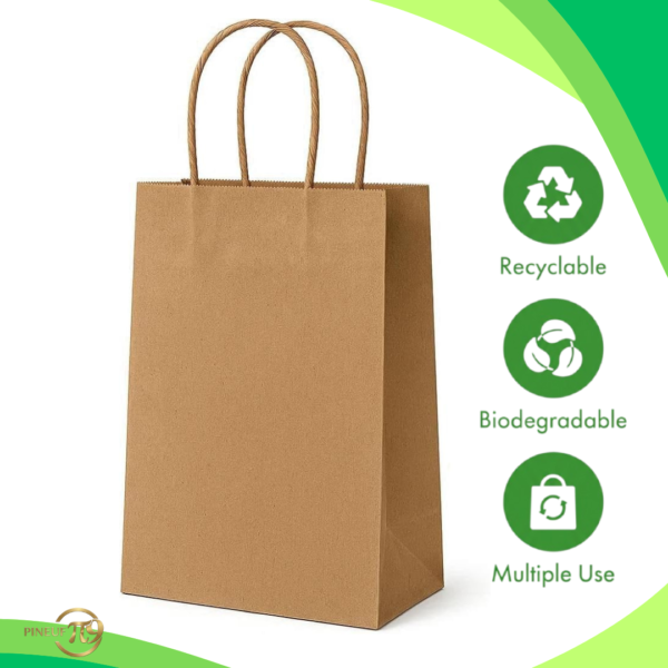 Pineuf brown kraft bags 5x3x8 - gallery 10 Brown kraft paper bags 5 x 3 x 8 inches - details and uses 10