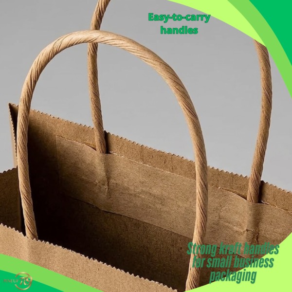 Pineuf brown kraft bags 5x3x8 - gallery 12 Brown kraft paper bags 5 x 3 x 8 inches - details and uses 12